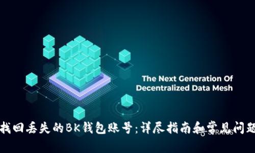 如何找回丢失的BK钱包账号：详尽指南和常见问题解答