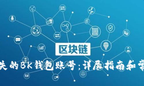 如何找回丢失的BK钱包账号：详尽指南和常见问题解答