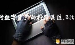   BitPie官方网站登录问题解决指南 /  guanjianci Bi