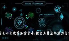 为什么人们欣赏加密货币：探索其背后的魅力与