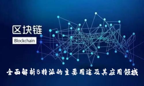 全面解析B特派的主要用途及其应用领域