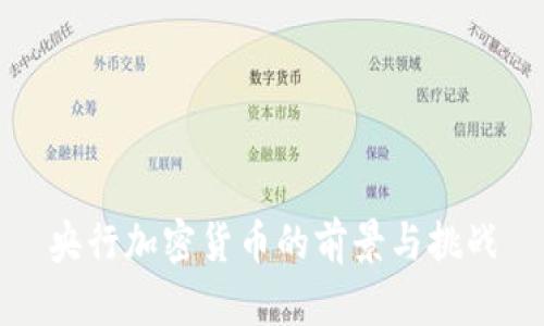 央行加密货币的前景与挑战