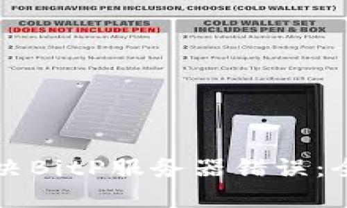 如何解决BitP服务器错误：全面指南