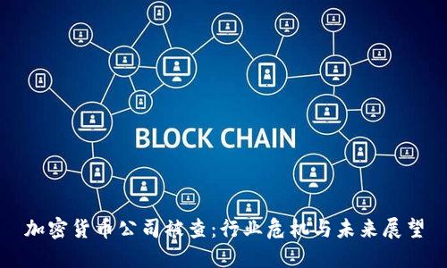 加密货币公司被查：行业危机与未来展望