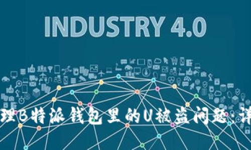 如何处理B特派钱包里的U被盗问题：详尽指南