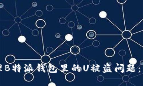 如何处理B特派钱包里的U被盗问题：详尽指南