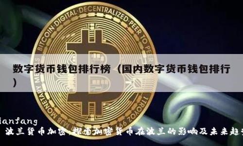 bianfang
  波兰货币加密：探索加密货币在波兰的影响及未来趋势
