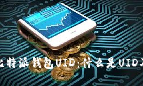 全面解析比特派钱包UID：什么是UID及其重要性