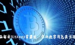 全面解析BitKeep苹果版—你的数字钱包最佳选择