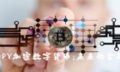 全面解析DPY加密数字货币：未来的金融革命透视