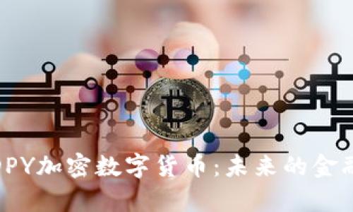 全面解析DPY加密数字货币：未来的金融革命透视