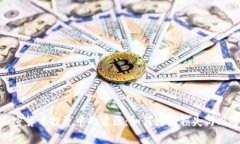 加密货币投资中的雷区：如何避免损失与风险