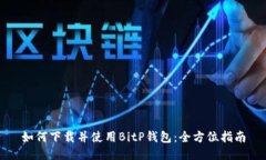 如何下载并使用BitP钱包：全方位指南