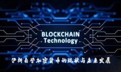伊朗自营加密货币的现状与未来发展