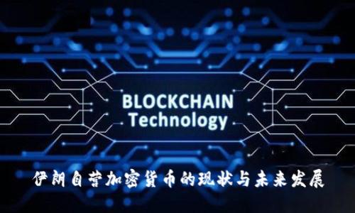 伊朗自营加密货币的现状与未来发展