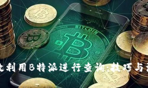 如何高效利用B特派进行查询：技巧与注意事项