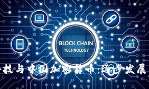 金融科技与中国加密货币：逐步发展的未来