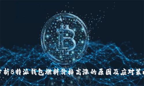 分析B特派钱包燃料价格高涨的原因及应对策略