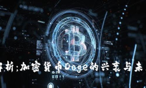 全面解析：加密货币Doge的兴衰与未来展望