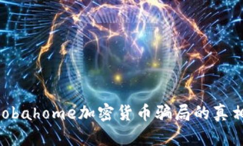 深入解析：Globahome加密货币骗局的真相与防范措施