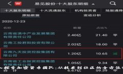 深入探索加密货币团队：从技术到社区的全方位