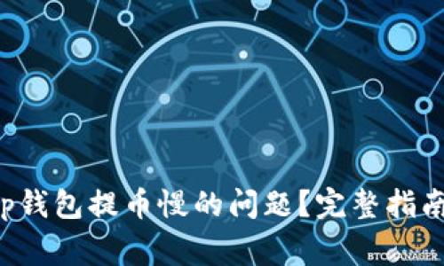 如何解决Bitkeep钱包提币慢的问题？完整指南与常见解决方案