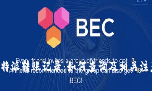 解读B特派转账记录：如何查询及相关注意事项