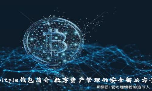 Bitpie钱包简介：数字资产管理的安全解决方案