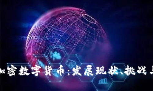 探索丹麦加密数字货币：发展现状、挑战与未来趋势