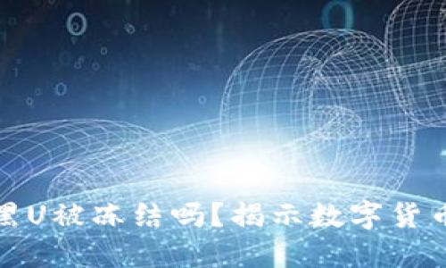 比特派会因为黑U被冻结吗？揭示数字货币安全的重要性