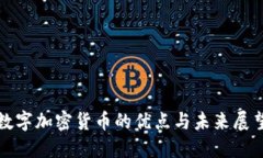 数字加密货币的优点与未来展望