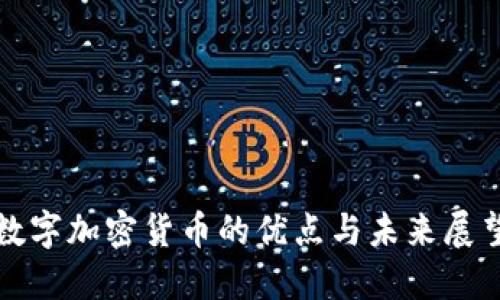 数字加密货币的优点与未来展望