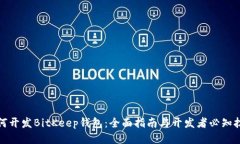 如何开发BitKeep钱包：全面指南与开发者必知技巧