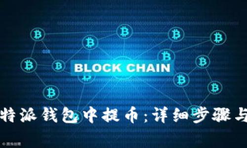 如何在比特派钱包中提币：详细步骤与注意事项