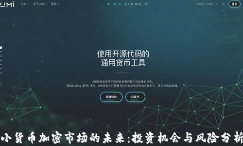 
小货币加密市场的未来：投资机会与风险分析