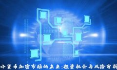 小货币加密市场的未来：投资机会与风险分析