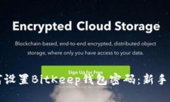 如何设置BitKeep钱包密码：新手指南