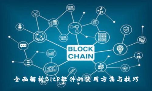 全面解析BitP软件的使用方法与技巧