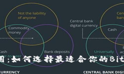 可爱而实用：如何选择最适合你的BitP钱包图标