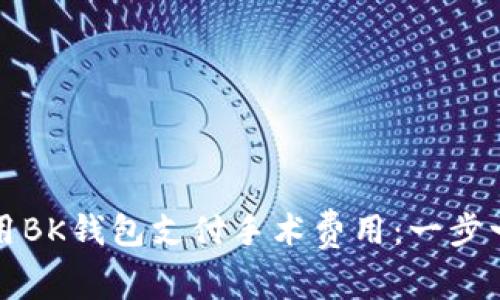 如何使用BK钱包支付手术费用：一步一步指南