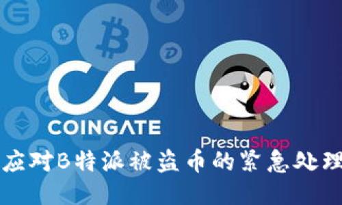 如何应对B特派被盗币的紧急处理指南