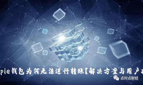 Bitpie钱包为何无法进行转账？解决方案与用户指南
