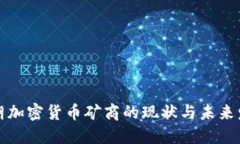 伊朗加密货币矿商的现状与未来发展